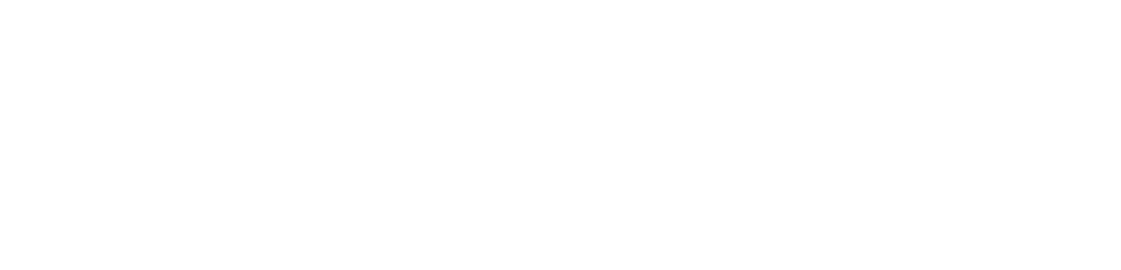 vnest
